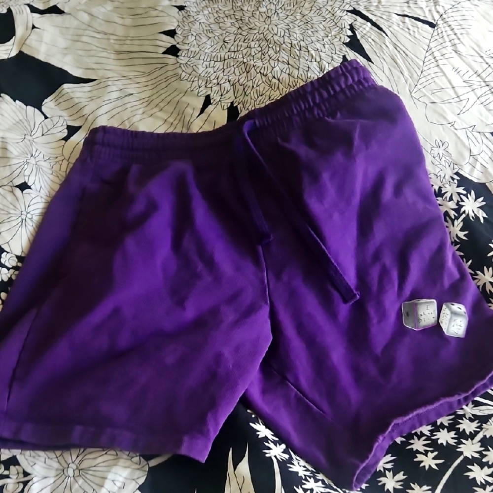 MGK Machine Gun Kelly Purple Hotel Diablo Shorts With Pocket Fleece NEW Small
